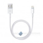 Cable cargador + sincronización - USB - iPod / iPhone / iPad - Lightning