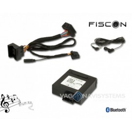FISCON - Basic Volkswagen / Skoda / Seat
